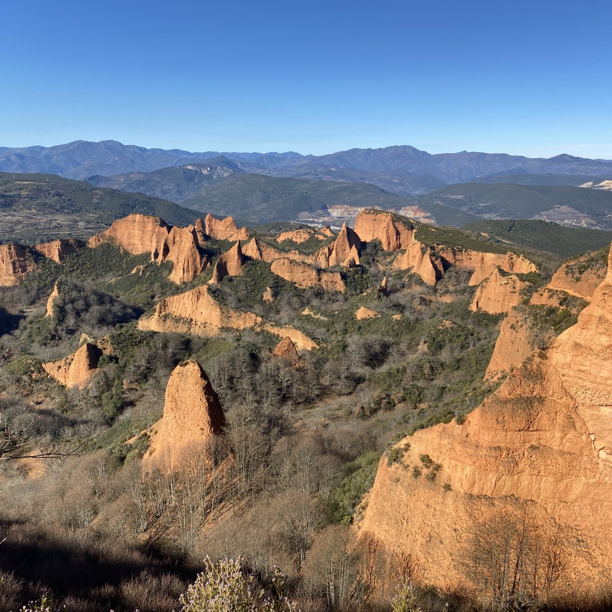 LAS MÉDULAS