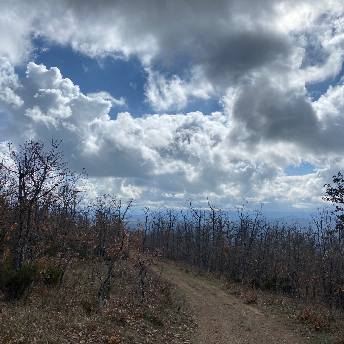 LOS SECRETOS DE&nbsp;TONDA
