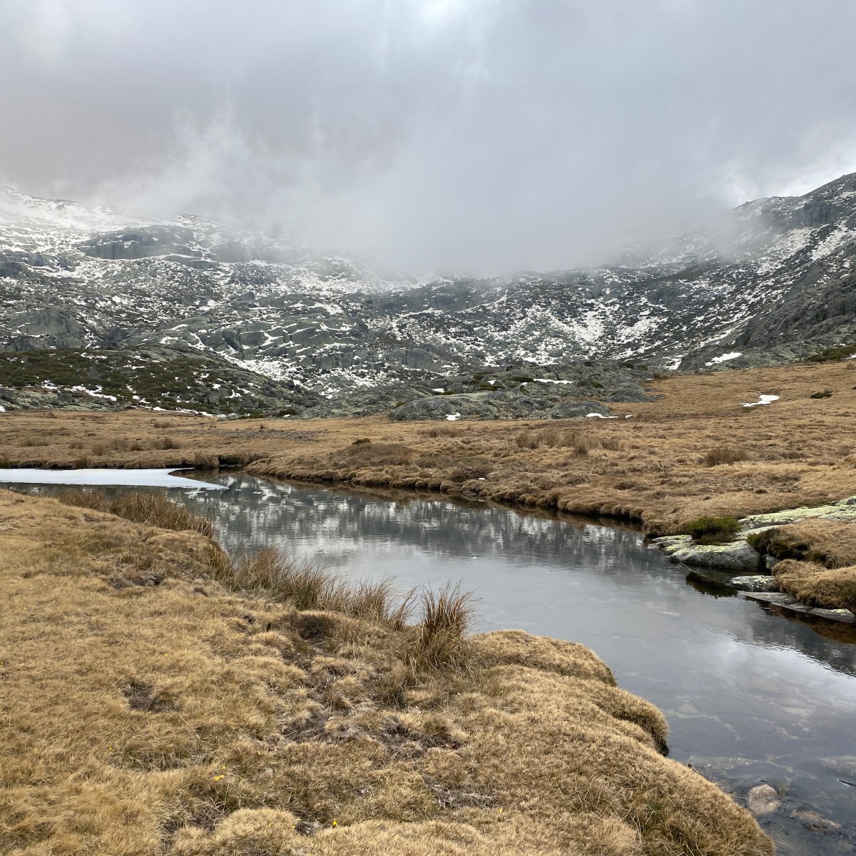 DEHESA DE CANDELARIO- REFUGIO DE HOYA&nbsp;CUEVAS
