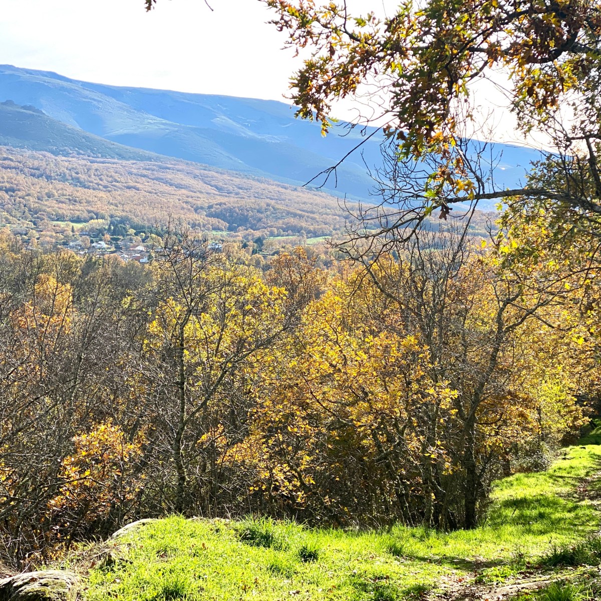 VALLEJERA – LA HOYA –&nbsp;NAVACARROS