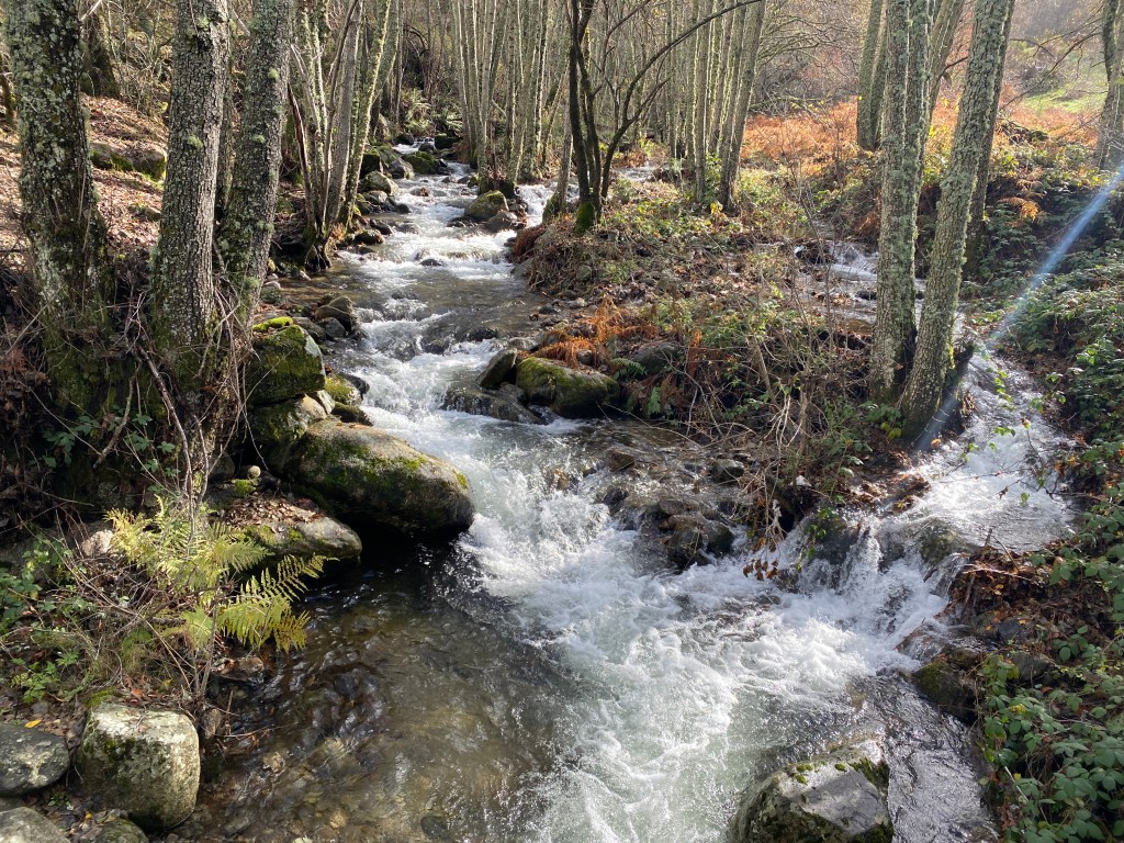 RUTA DE LA&nbsp;MANGÁ