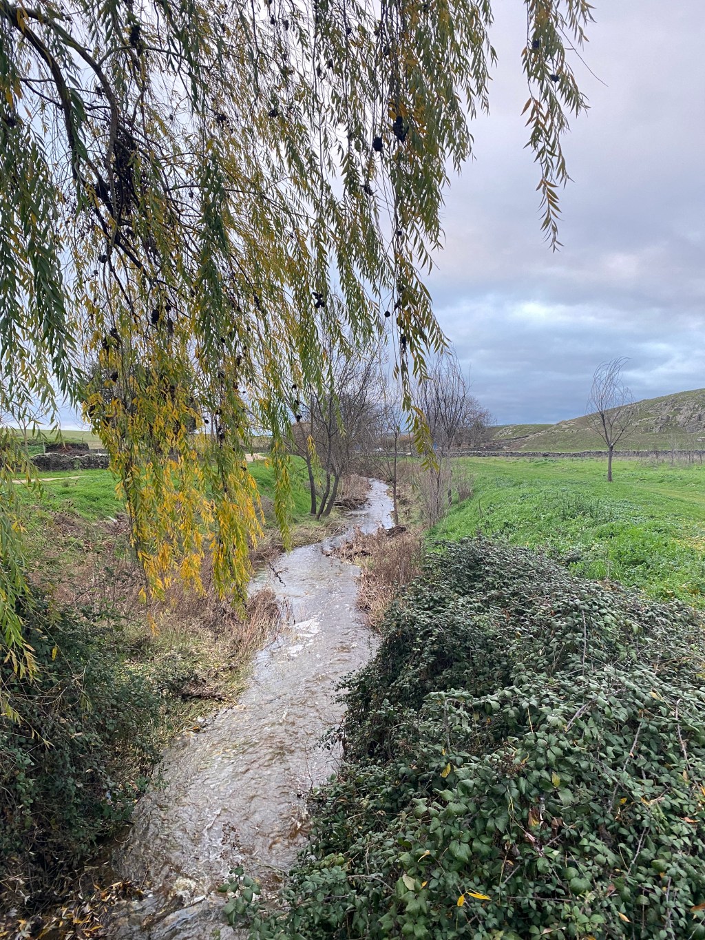 RUTA DE LOS TESOROS NATURALES DE MIRANDA DE&nbsp;AZÁN