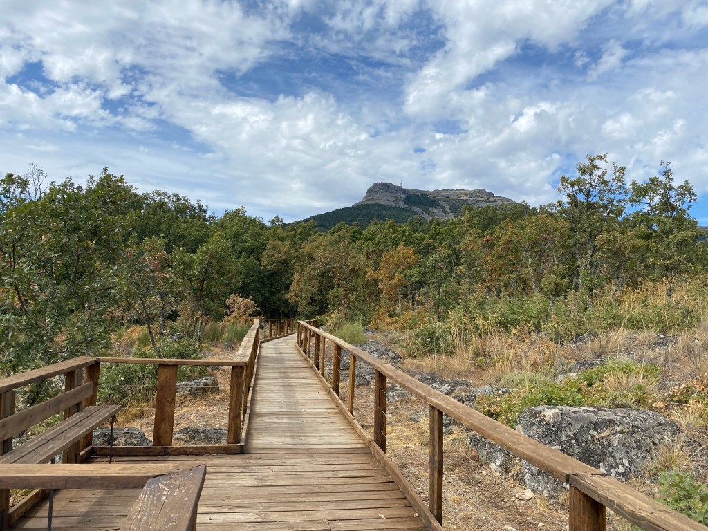 SENDA DE LOS CASTAÑOS&nbsp;CENTENARIOS