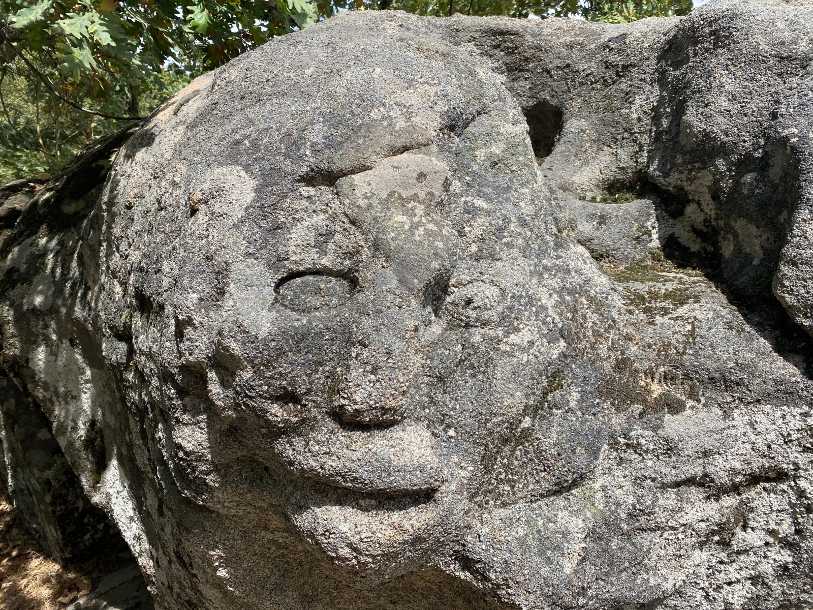 Ruta de los Castaños Centenarios, Sierra de Francia.
